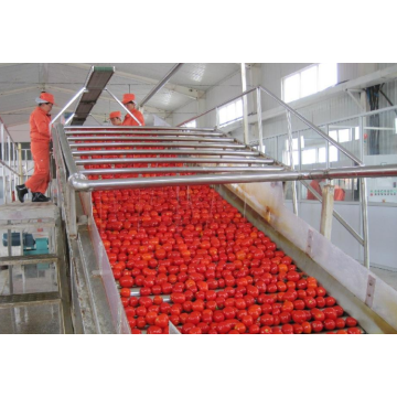 Tropical Fruit Mango Pineapple Processing Plant